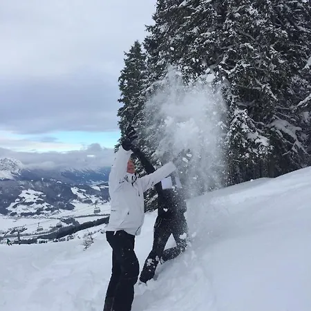 Deluxe Alpenkrone アパート *