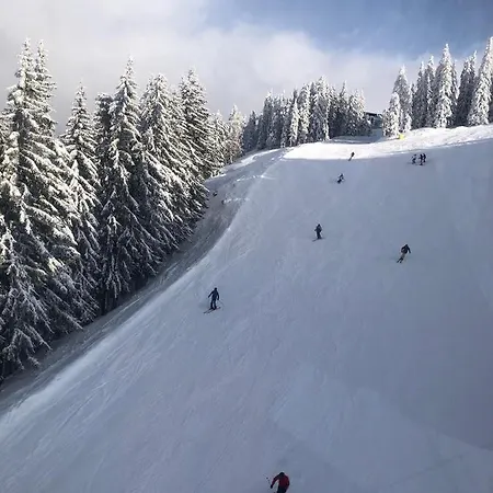 Deluxe Alpenkrone Apartment Schladming