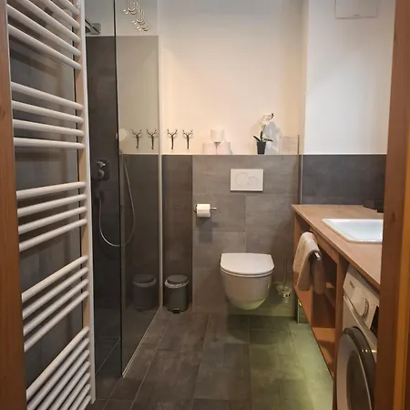 Apartament Deluxe Alpenkrone Schladming