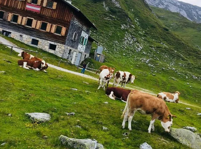 Apartment Alpenkrone Neubau *