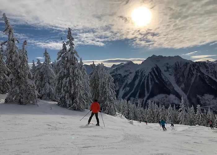 Διαμέρισμα Deluxe Alpenkrone