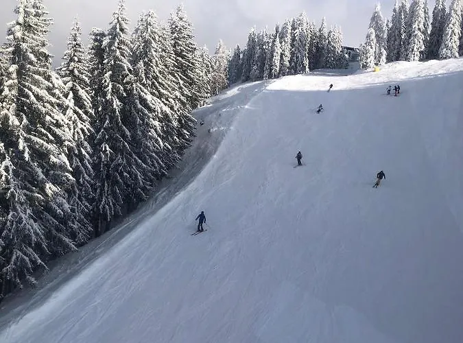 Alpenkrone Neubau Apartment Schladming