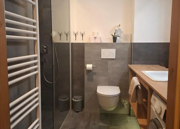 Διαμέρισμα Deluxe Alpenkrone Schladming